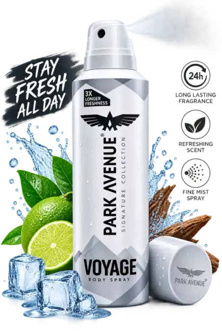 Park Avenue Voyage Body spray 150ml India